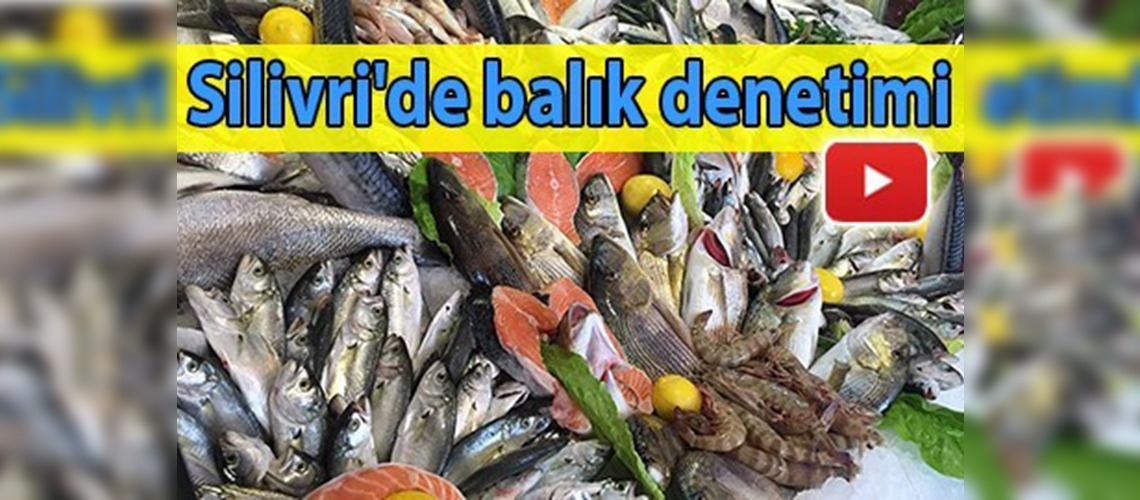 Silivri'de balık denetimi