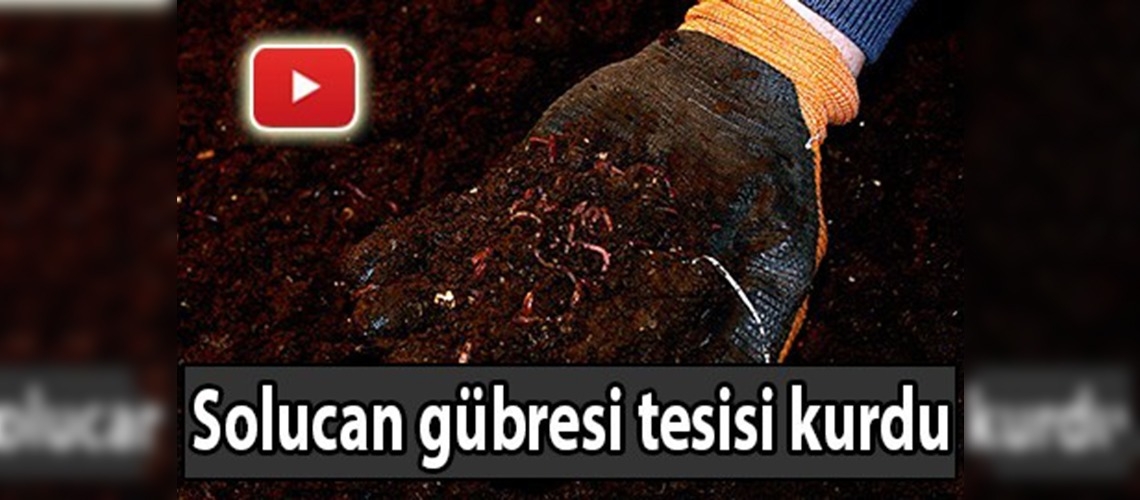 Genç girişimcinin başarısı