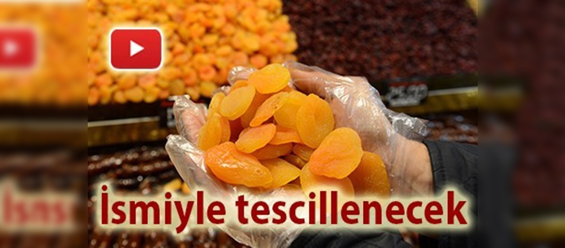 Kayısı Avrupa yolunda