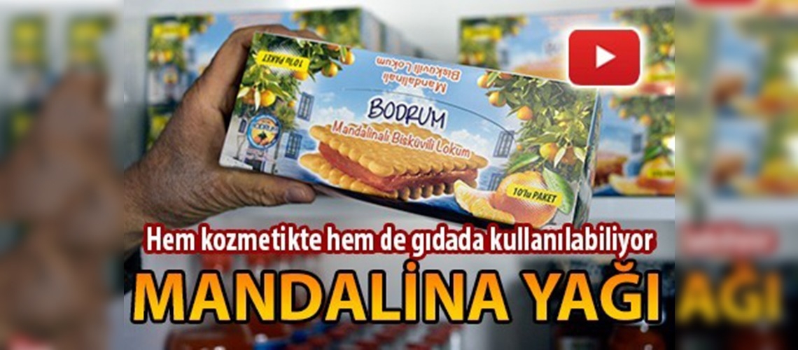 Bodrum mandalinasının yağını çıkarttılar 
