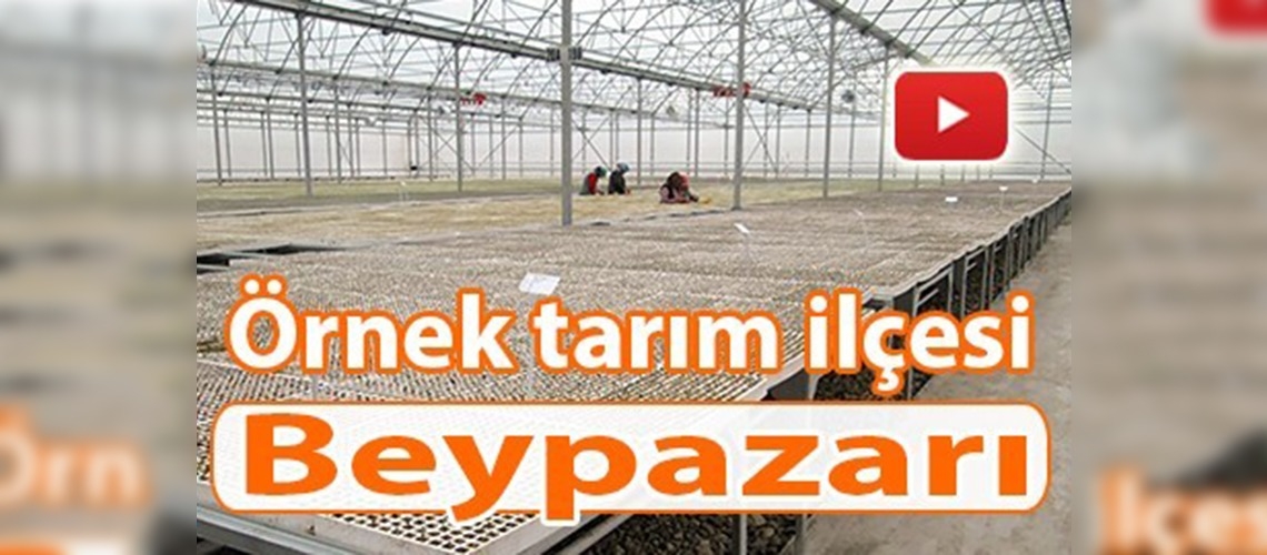Örnek tarım ilçesi Beypazarı