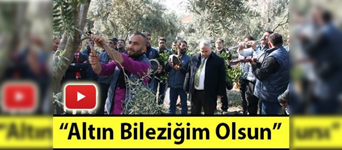 Müzik eşliğinde ağaç budama