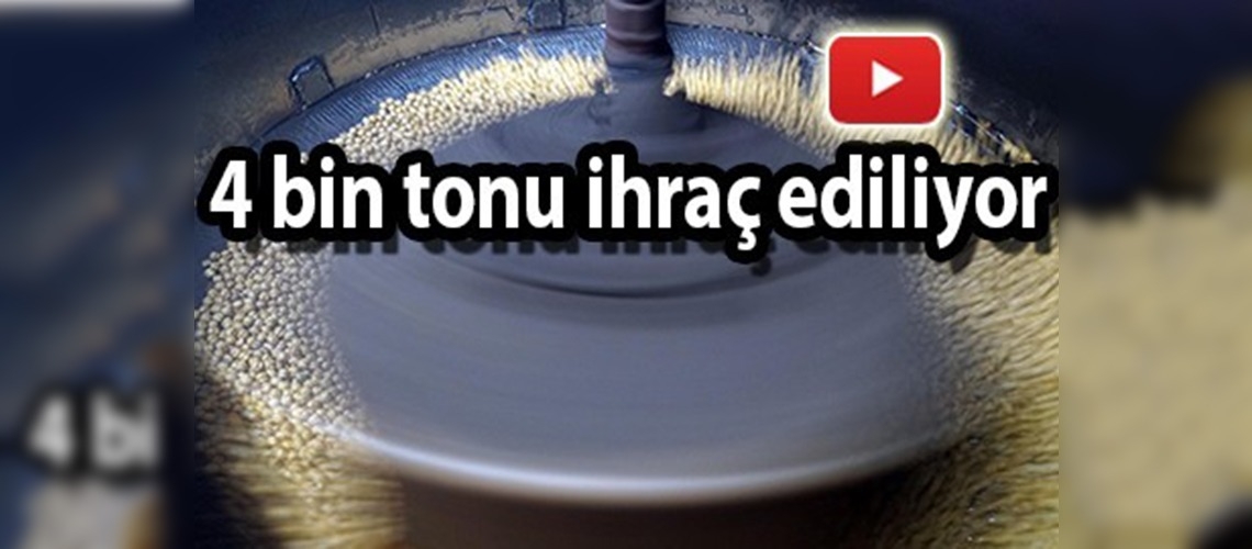 ''Tavşanlı leblebisi''nin kokusu dünyaya yayılıyor