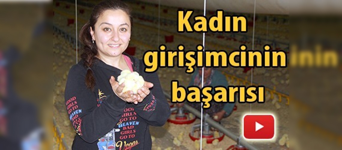 Piliç tesisinde sadece kadınlar çalışıyor