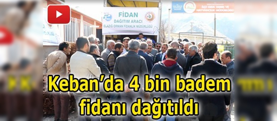 Çiftçilerin geliri bademle yükselecek