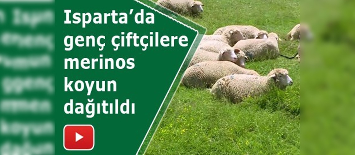 Genç çiftçi projelerinin desteklenmesi devam ediyor