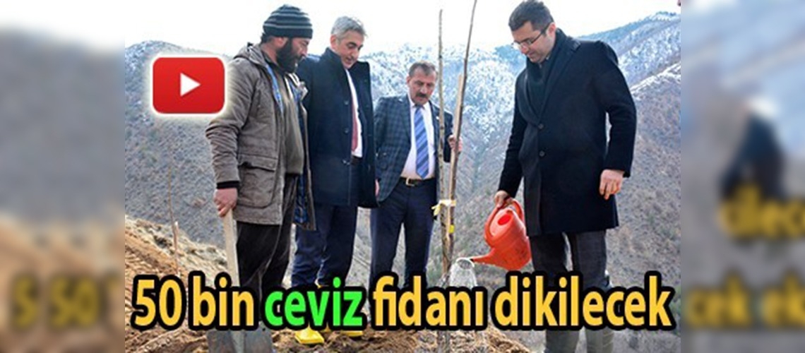 Pestil ve kömeye ceviz desteği