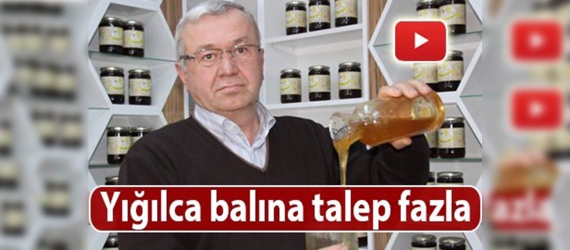 Yığılca balı marka oldu