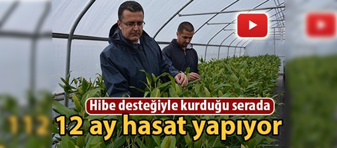 Ordulu genç çiftçinin zambak başarısı