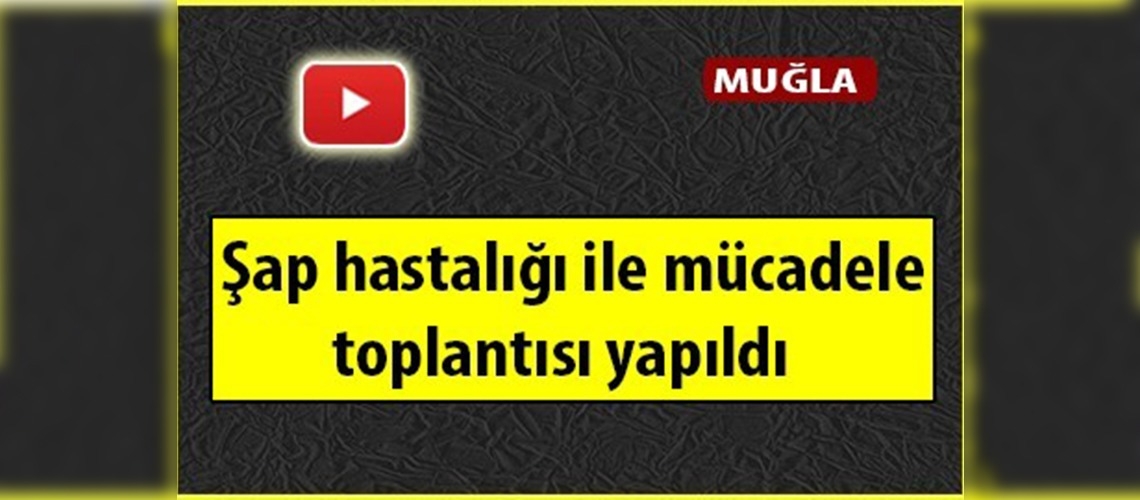 Muğla'da şap hastalığıyla mücadele
