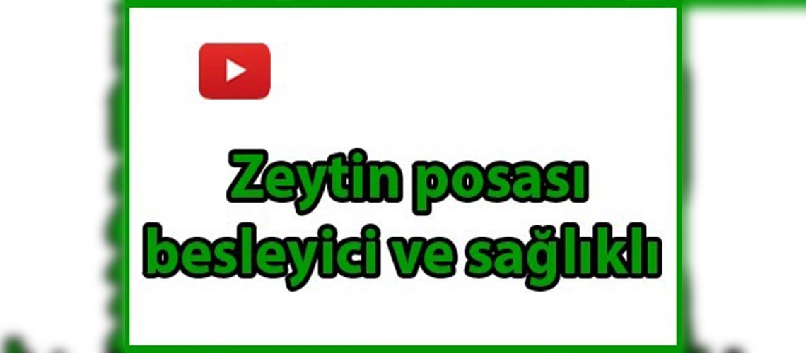 Zeytin posasından hayvan yemi üretti