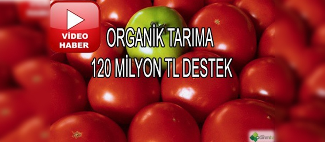 Organik tarım destekleme müracaatları başladı