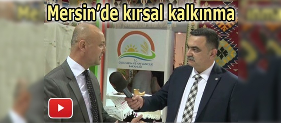 Yeni tesisler kurulmaya devam ediyor