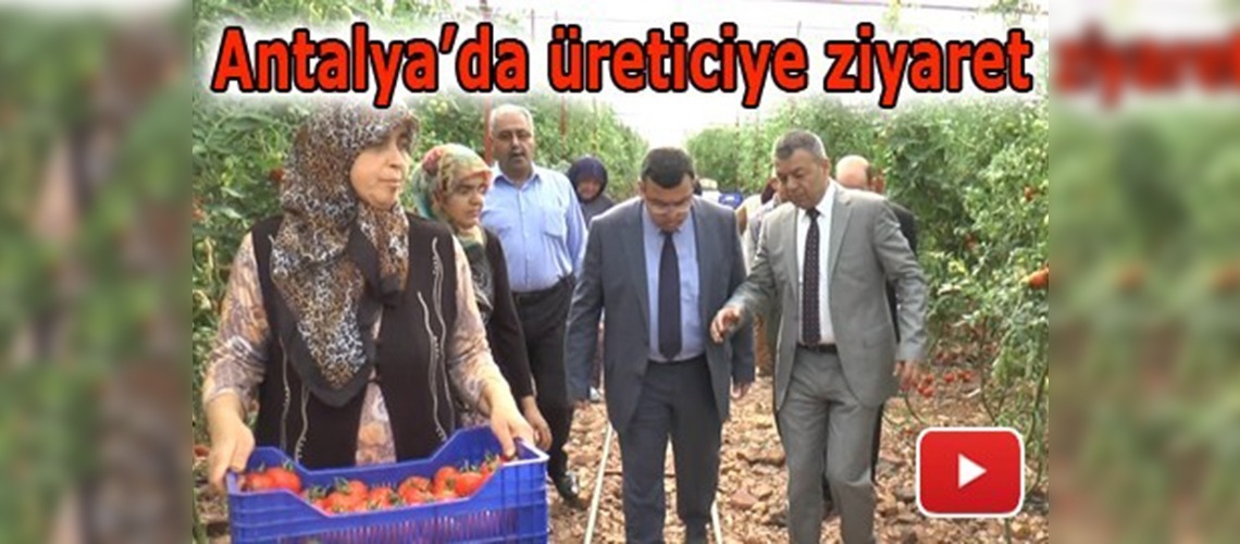 Lider kadın çiftçinin serası ziyaret edildi