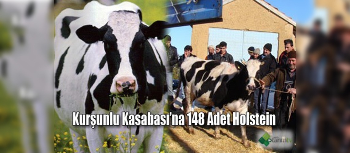 Desteklemeler sürüyor