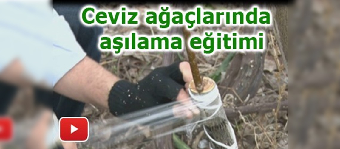 Kayserili çiftçilere uygulamalı eğitim verildi