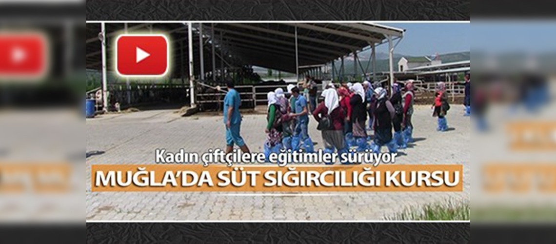 Muğla'da süt sığırcılığı kursu