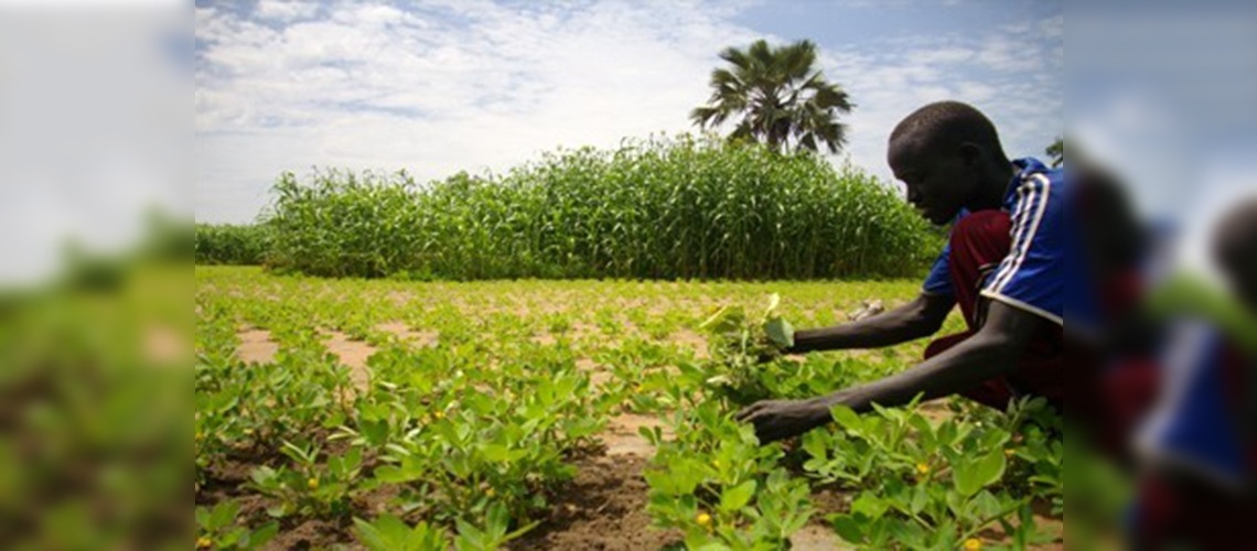 TİKA'dan Sudan'a büyük destek