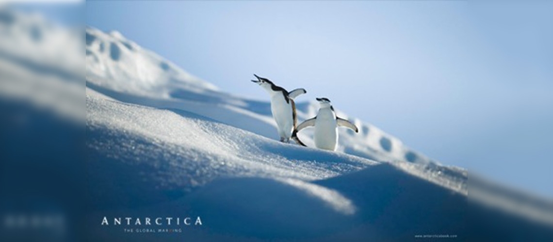 Buz kıtası Antartikada süper dirençli bakteriler bulundu