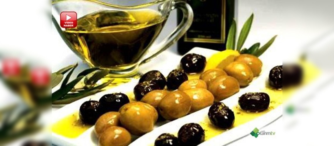 Aydında örnek zeytinyağı tesisi