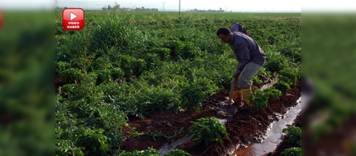 GAP bulunduğu bölgeyi marka haline getirdi