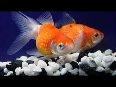 134 gün sonra canlı bulundular