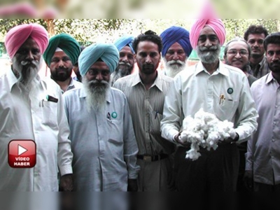 Pamuk üretim devlerinden Hindistan pamuk ihracatını durdurdu