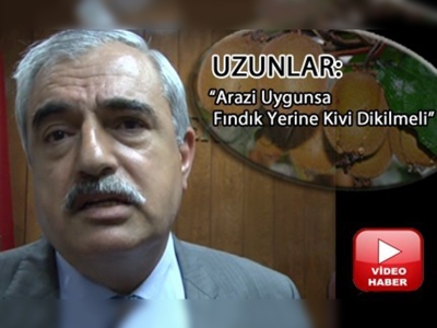 Fındığa kârlı alternatif: kivi