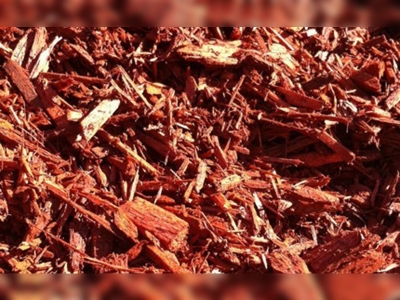 16 yaşında lise öğrencisi yaşlanmayı durduracak