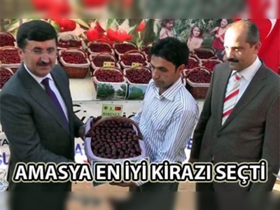 Amasya'da 'en güzel kiraz' yarışması