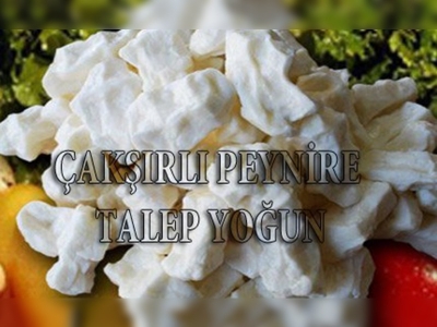 Çakşırlı peynir satın almak isteyenler sıraya giriyor