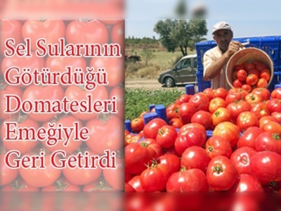 Çanakkaleli üreticinin büyük azmi