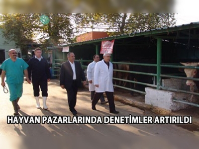 Hayvan pazarlarında denetimler artırıldı