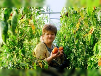 Türk kredisi Bosnalı üreticilere umut oldu