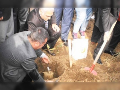 Bursada cevizler toprakla buluştu