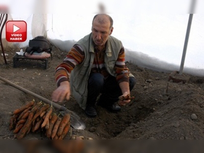 Sebzelerin tazeliğini ''toprakla'' koruyorlar