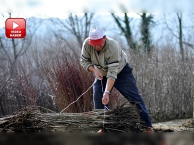 Dünyanın meyve fidanını üretiyorlar