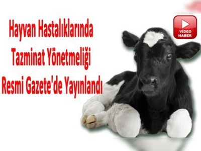 Tazminat ödenecek hayvan hastalıkları belirlendi