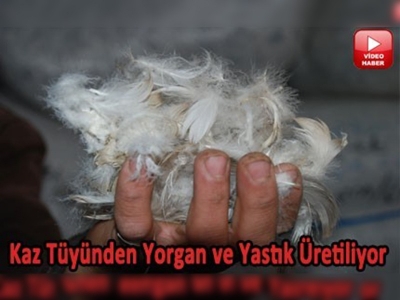 Kars'ın ''kaz tüyü'' Almanları ısıtacak