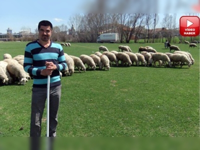 Kütahyada süt ihracatı sevinci