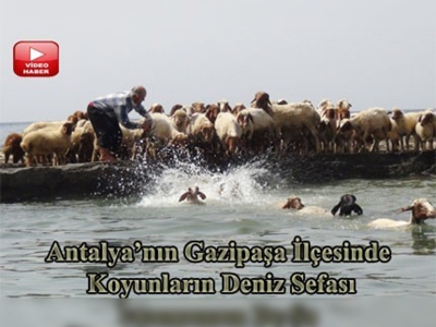 Yörüklerin yaylaya göç hazırlığı son aşamada