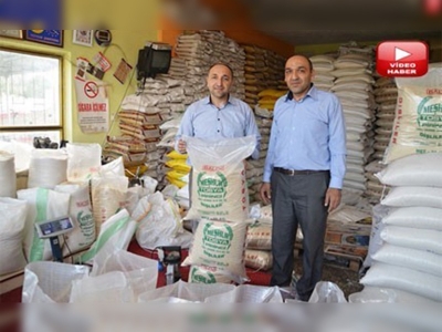 Pirinçte GDO iddialarına Tosyalı üreticiler de tepkili 