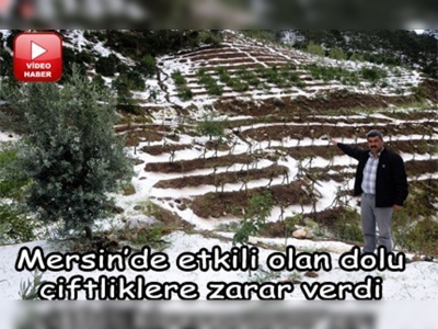 Mersinde etkili olan dolu çiftliklere zarar verdi