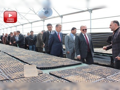 Vandan dünyaya sebze ihracatı