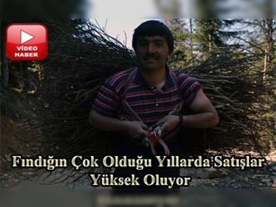 Çalı süpürgesi orman köylüsüne ek gelir sağlıyor