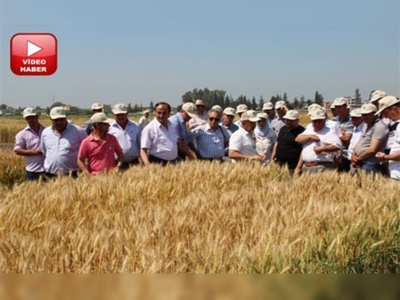 Kahramanmaraşlı üreticiler, Adana Doğu Akdeniz Tarımsal Araştırma Enstitüsünde