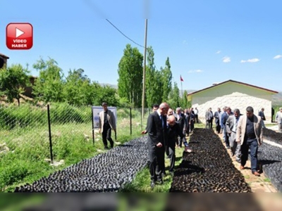 Hizan fıstık fidanı yetiştirme tesisine kavuştu