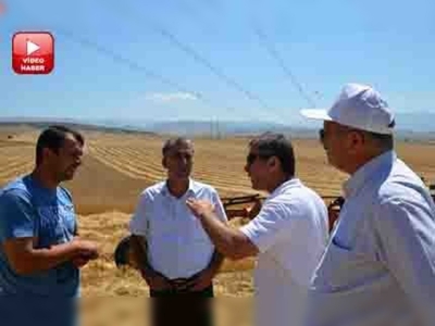 Amasyada biçerdöver kontrolleri devam ediyor