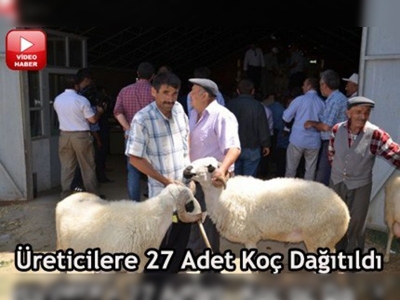 Amasyada küçükbaş hayvancılığa destek