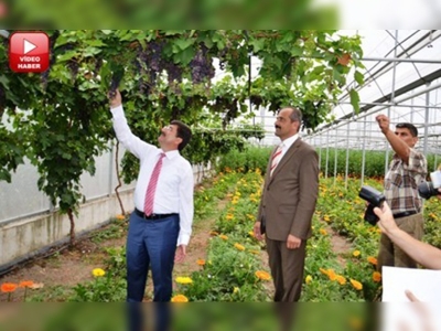 Amasya Valisi seraları gezdi